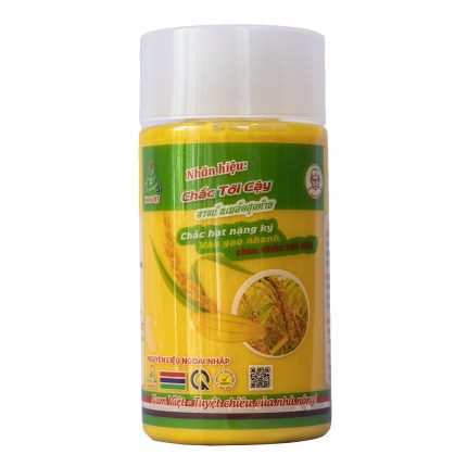 CHẮC TỚI CẬY